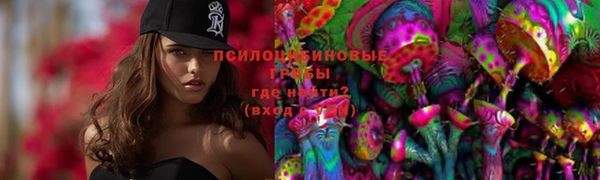 винт Бородино