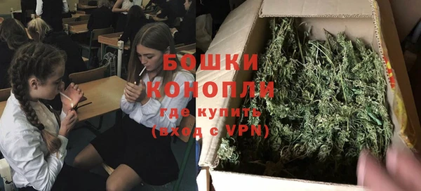 винт Бородино
