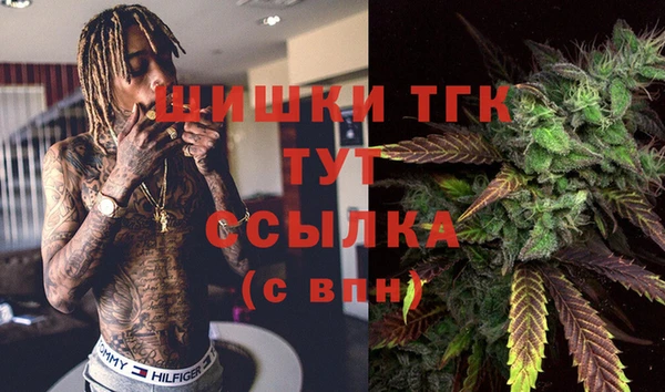 винт Бородино