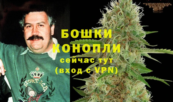 винт Бородино