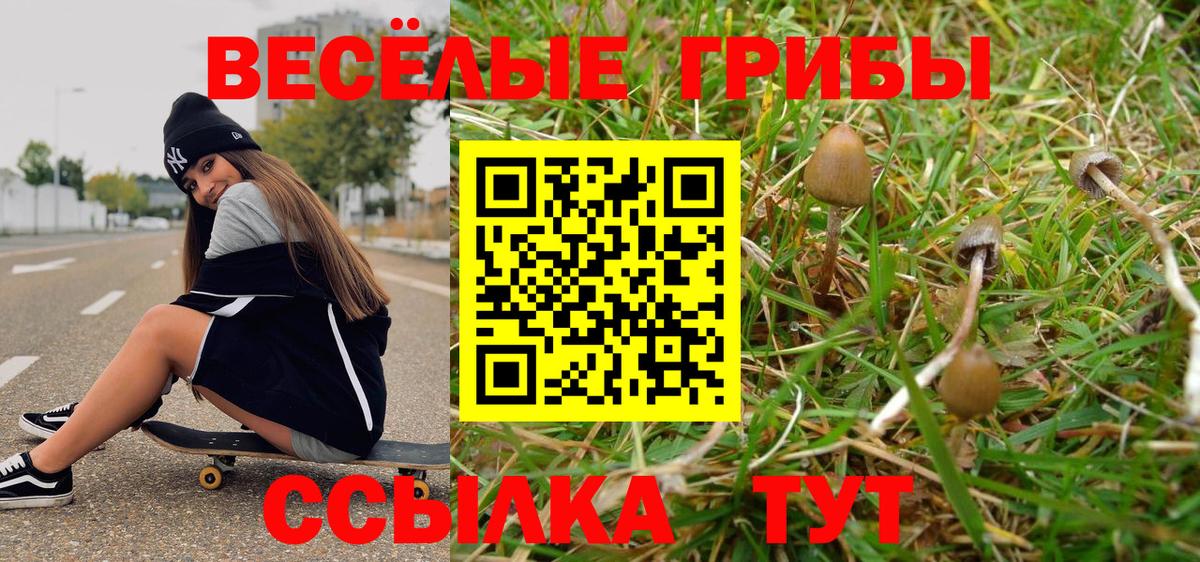 Галлюциногенные грибы ЛСД Бугуруслан