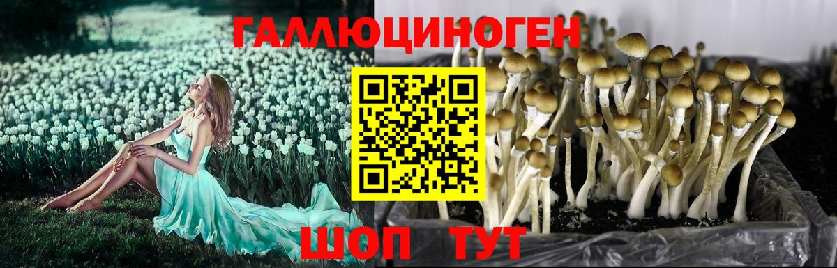 Псилоцибиновые грибы прущие грибы  Вход с VPN  Бугуруслан 